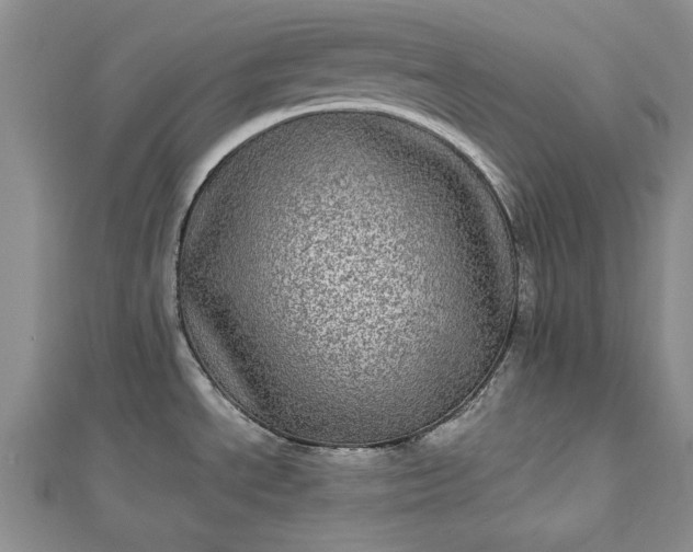 X0000112791534200909041402