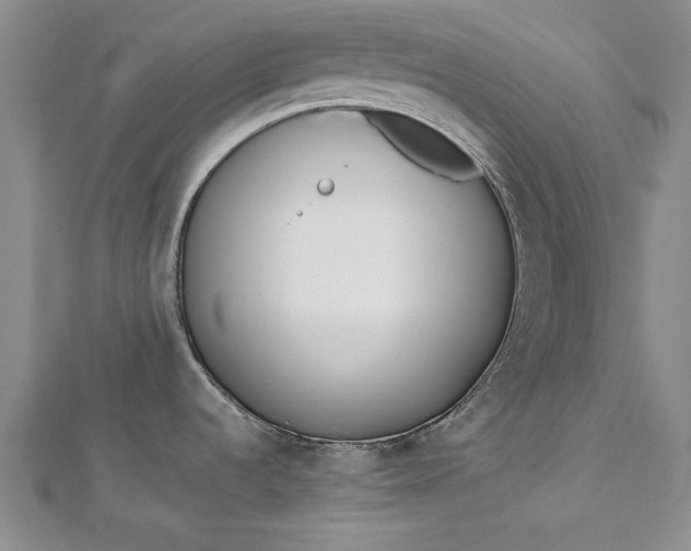 X0000112791536200909041402