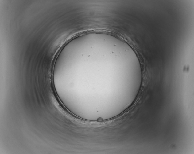 X0000112790002200909111223