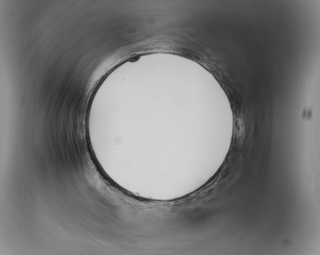 X0000112790004200909111223