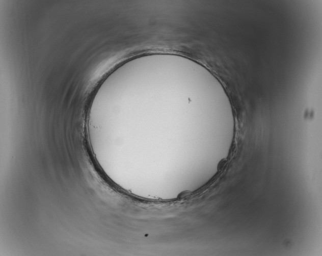 X0000112790005200909111223