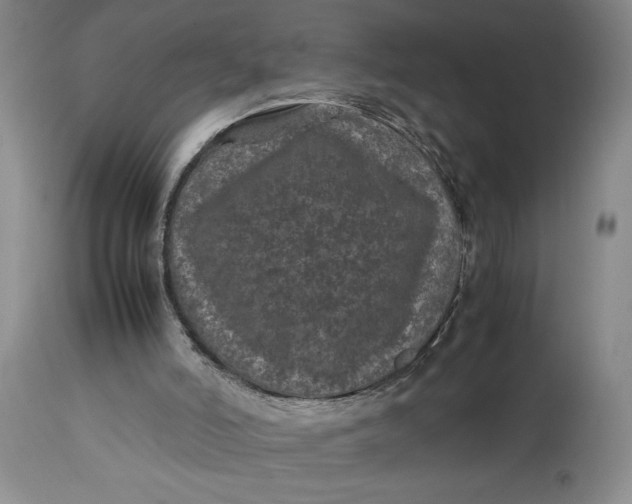 X0000112790006200909111223