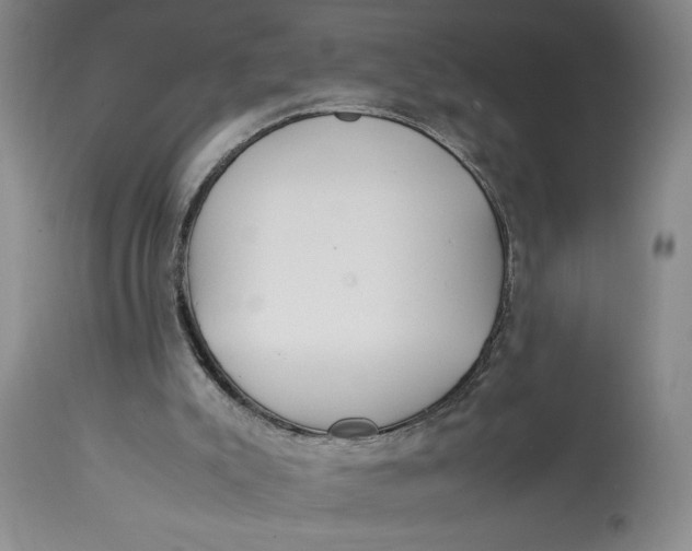 X0000112790007200909111223