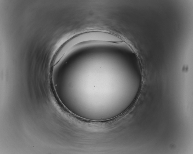 X0000112790008200909111223