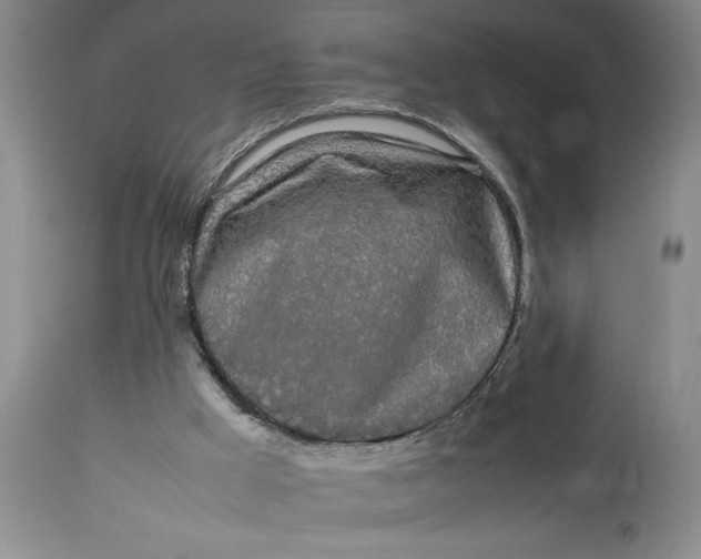 X0000112790009200909111223