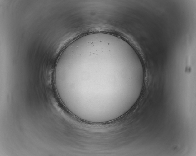 X0000112790010200909111223