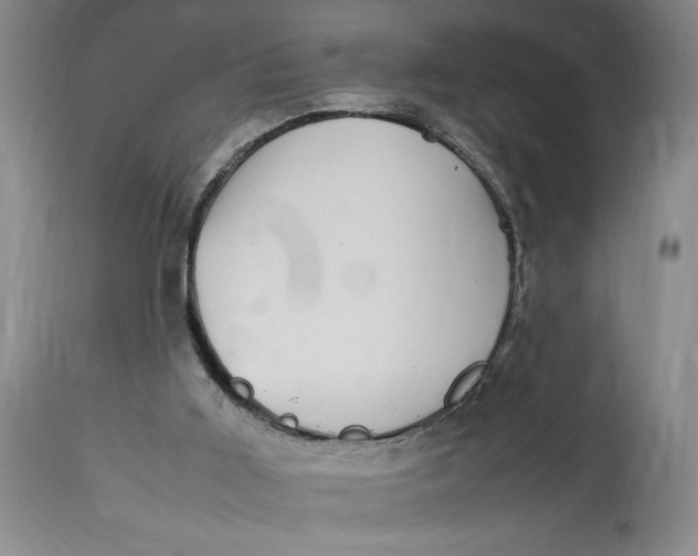 X0000112790011200909111223