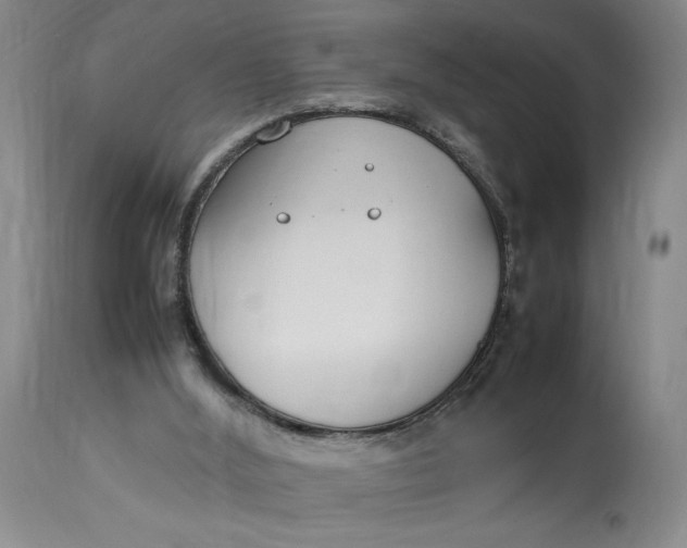 X0000112790012200909111223