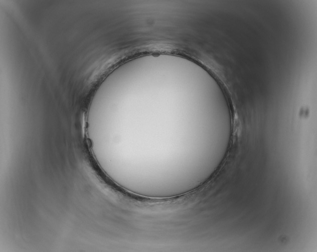 X0000112790013200909111223