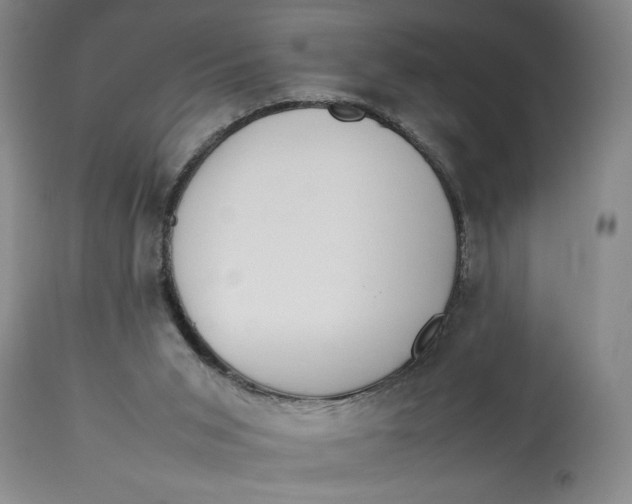 X0000112790015200909111223