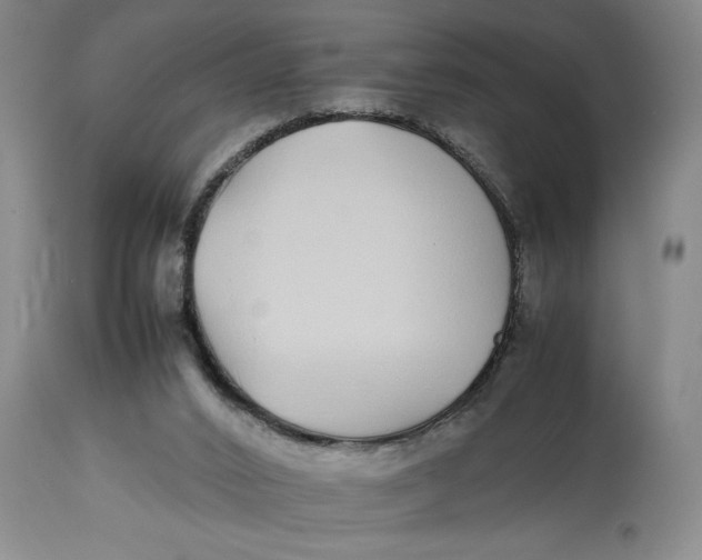 X0000112790016200909111223