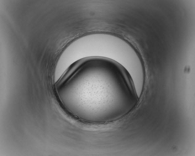 X0000112790017200909111223