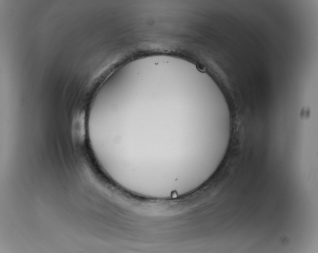 X0000112790020200909111223