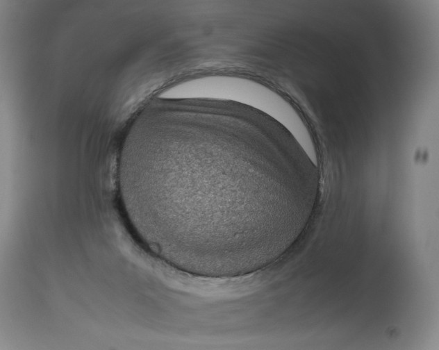 X0000112790023200909111223