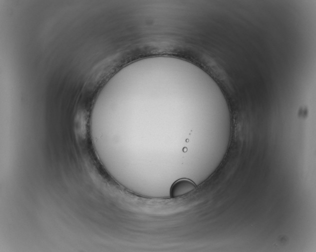 X0000112790026200909111223