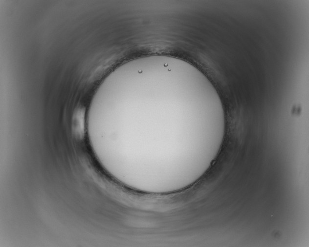 X0000112790028200909111223