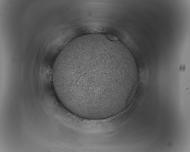 X0000112790029200909111223