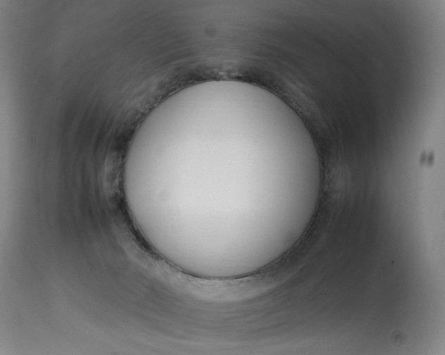 X0000112790030200909111223