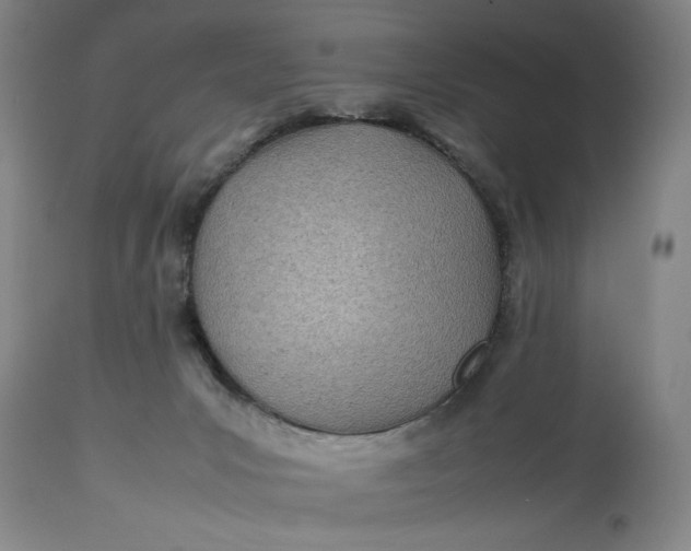 X0000112790031200909111223