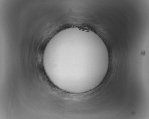 X0000112790033200909111223