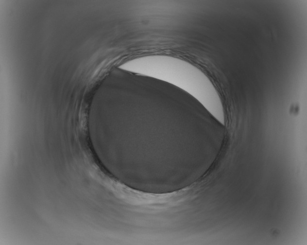 X0000112790035200909111222