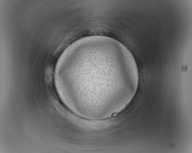 X0000112790038200909111222