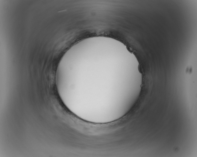 X0000112790039200909111222