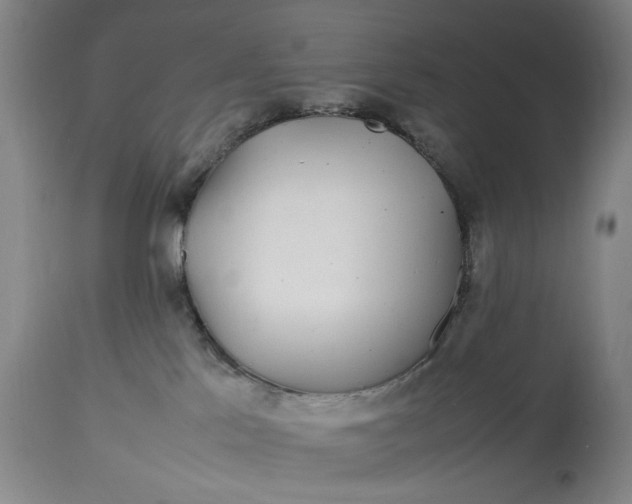 X0000112790041200909111222