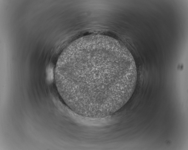 X0000112790042200909111222