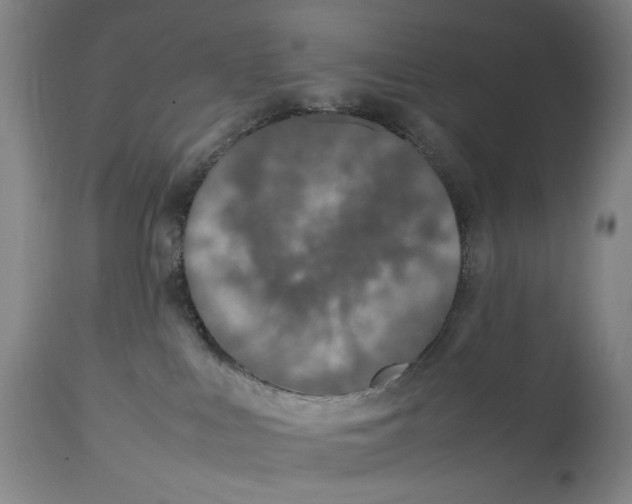 X0000112790043200909111222