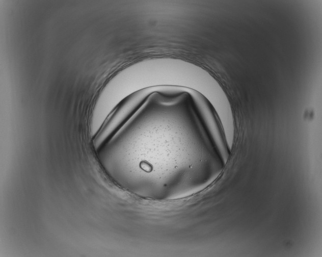 X0000112790045200909111222