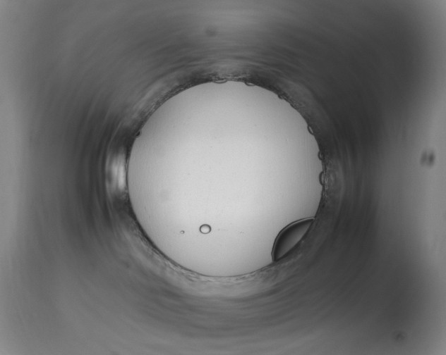 X0000112790046200909111222