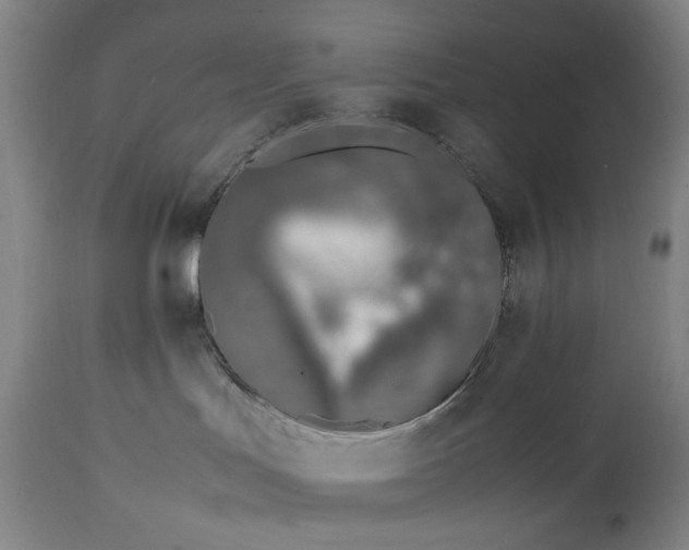 X0000112790047200909111222