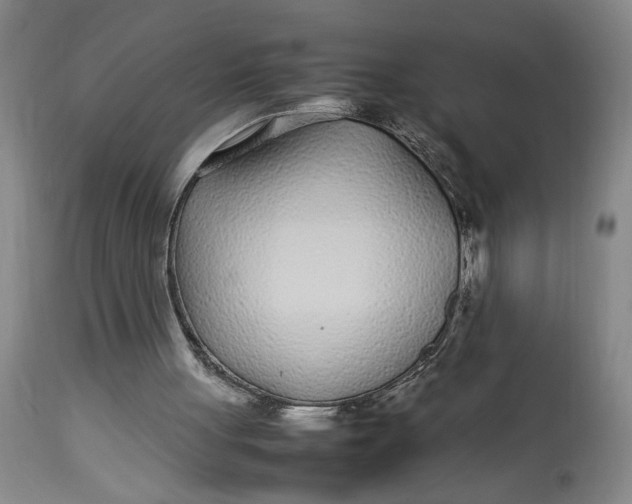 X0000112790051200909111222