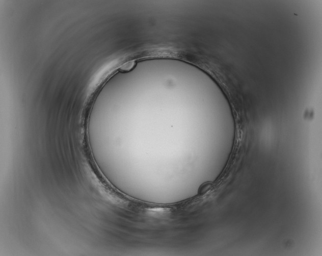 X0000112790053200909111222