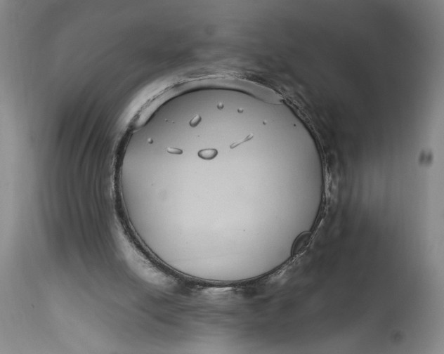 X0000112790054200909111222