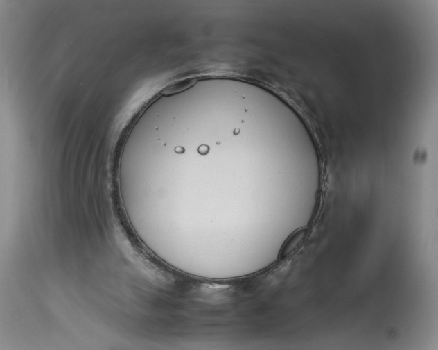 X0000112790055200909111222