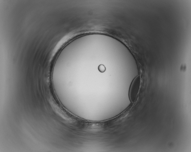 X0000112790056200909111222