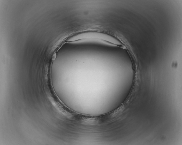 X0000112790058200909111222