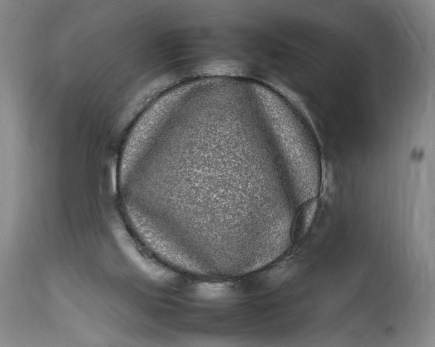 X0000112790061200909111222