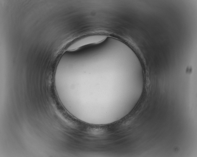 X0000112790063200909111222