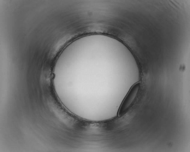 X0000112790064200909111222