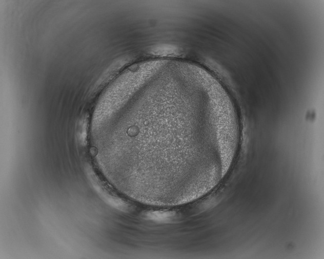 X0000112790065200909111222