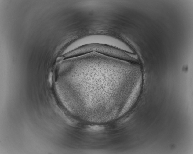 X0000112790067200909111222