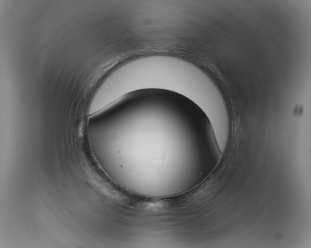 X0000112790068200909111222