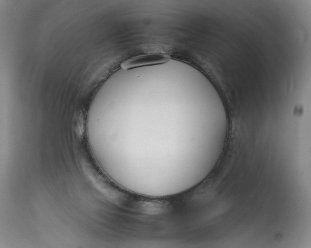 X0000112790069200909111222