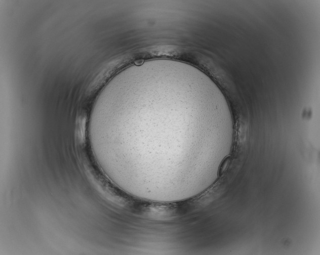 X0000112790070200909111222