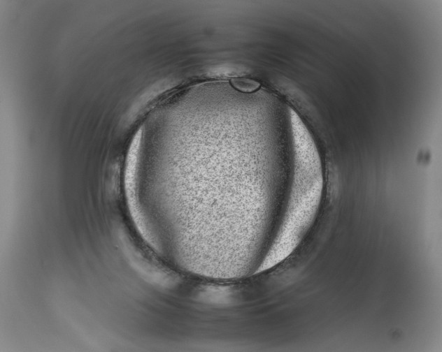 X0000112790071200909111222