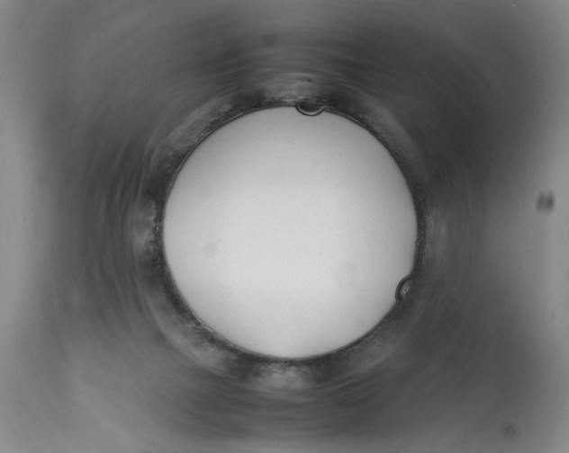 X0000112790073200909111222