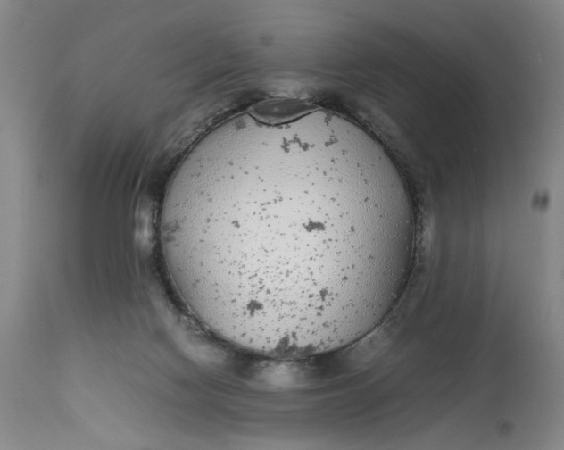 X0000112790074200909111222